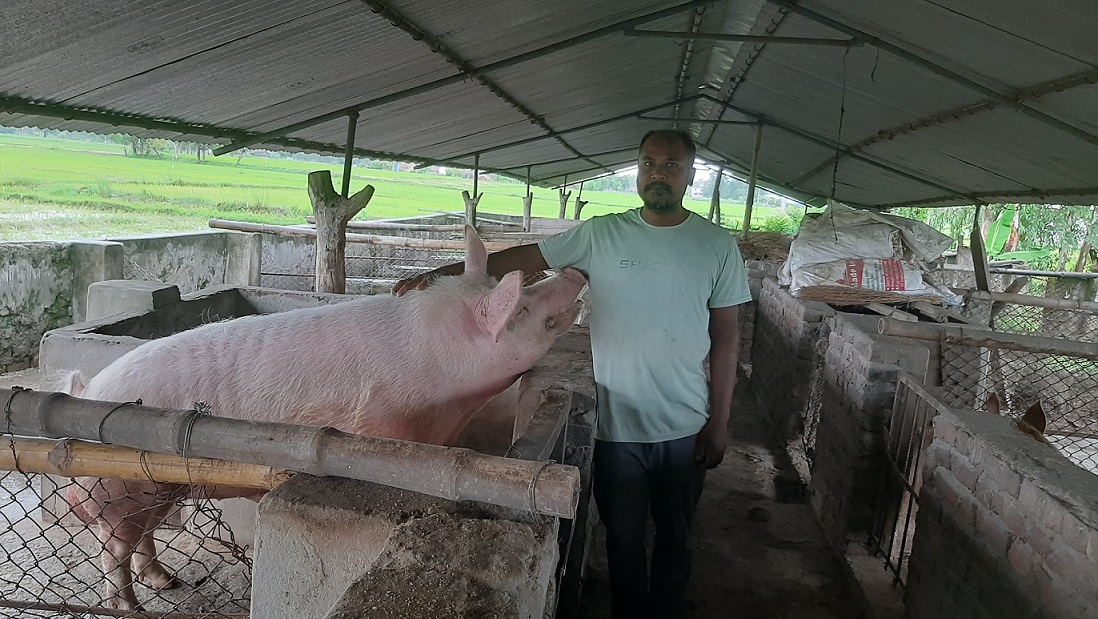 बङ्गुरका पाठापाठी बेचेर वार्षिक १२ लाख आम्दानी